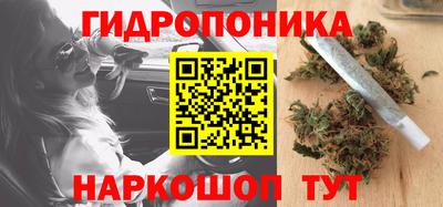 кокс Гудермес