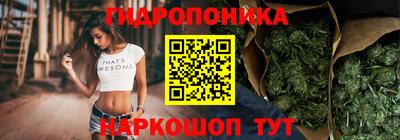 кокс Гудермес