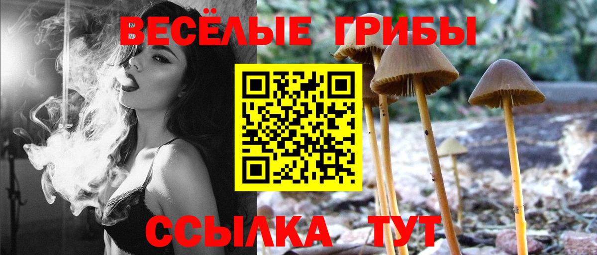 Галлюциногенные грибы Magic Shrooms Бугуруслан