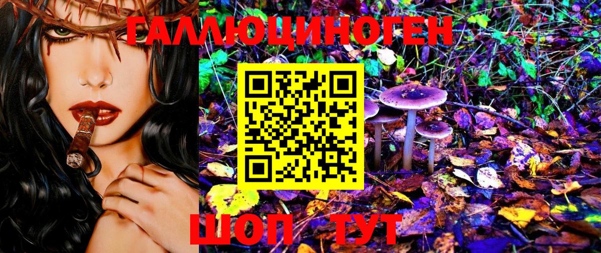Бугуруслан  Псилоцибиновые грибы Cubensis  Псилоцибиновые грибы MAGIC MUSHROOMS  Вход с VPN 